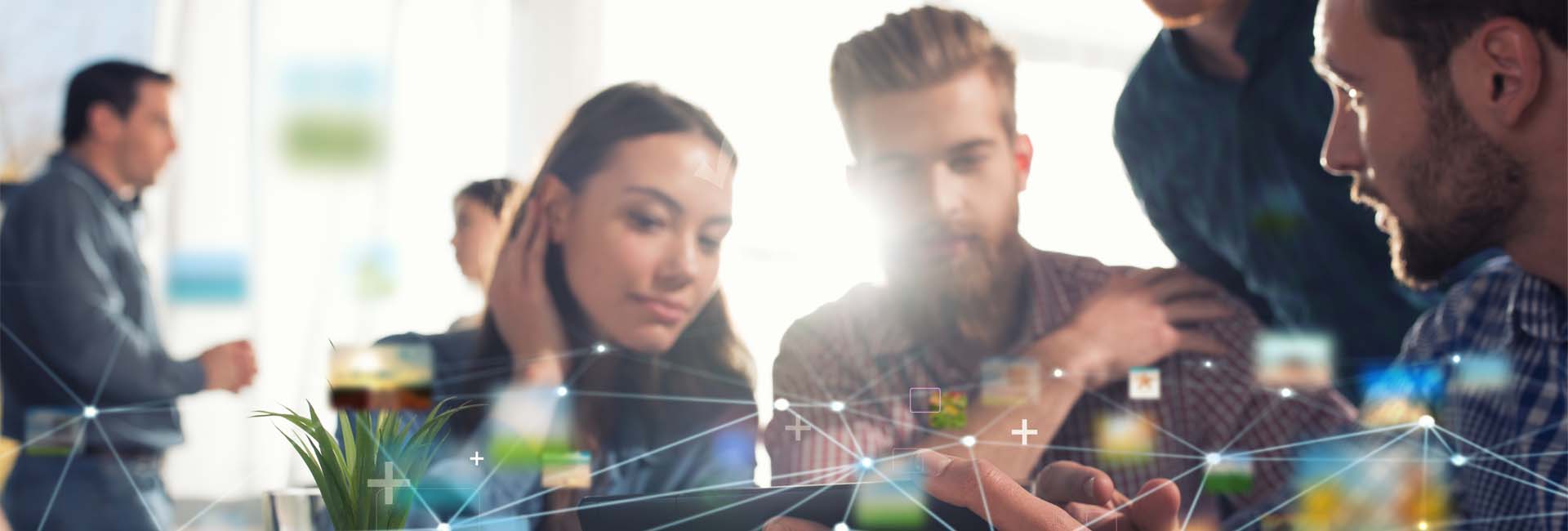 Wacky Advisors | Vizija