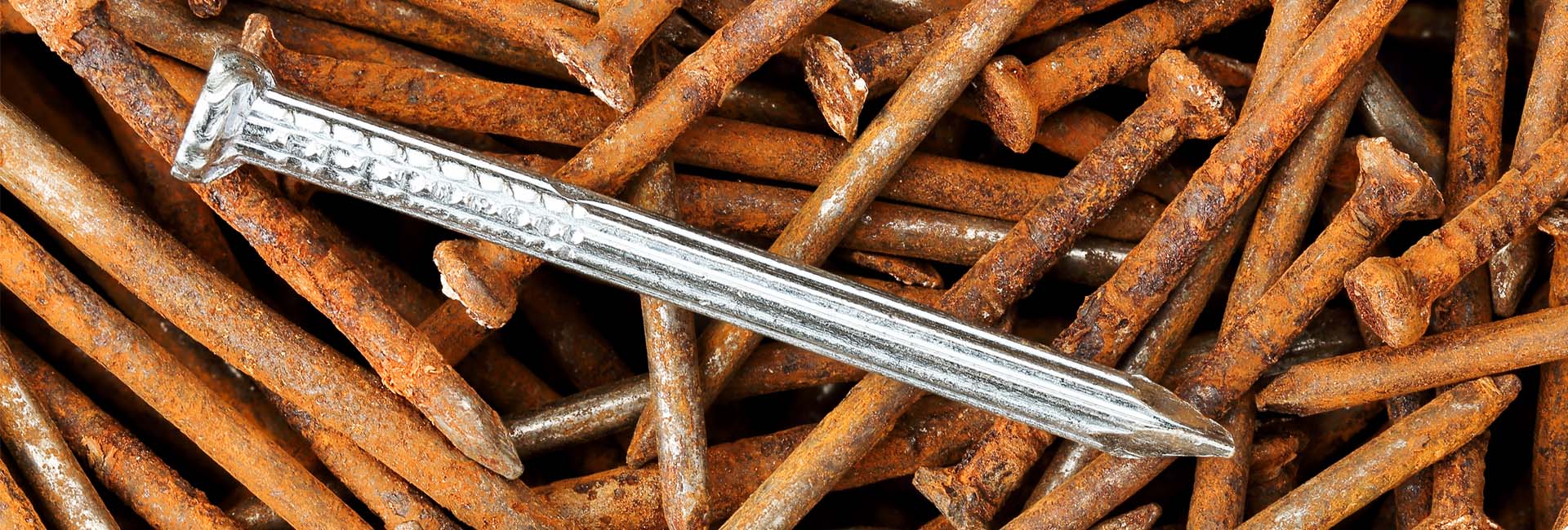 Wacky Advisors | Vrednosni predlog